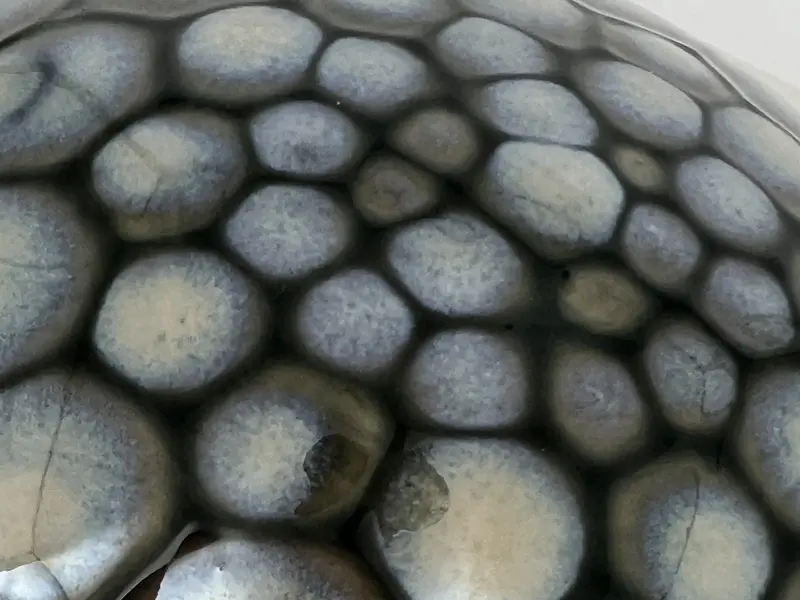 Boule décorative 15 cm – Grise décor "écailles" – Image 3